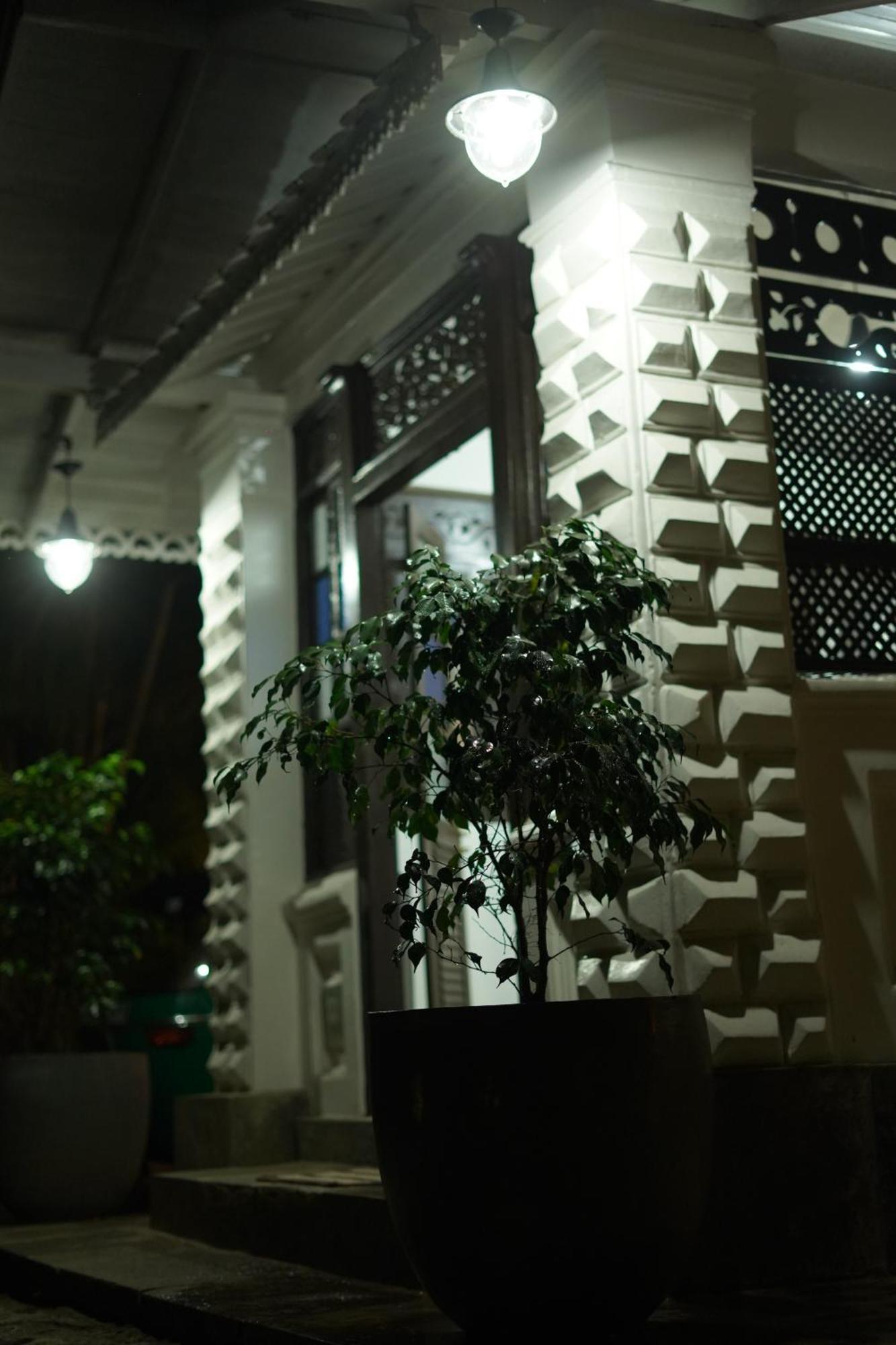 Medusa Bungalow - كالي المظهر الخارجي الصورة